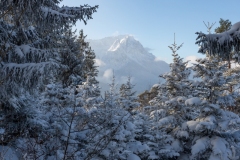 Bildnummer-EN-06.-Januar-2017.-0206._