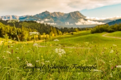 Bildnummer-EN-09.-August-2014.-0126._