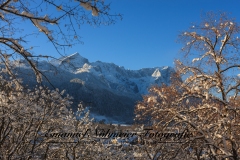 Bildnummer-EN-09.-Dezember-2012.-0063._