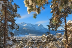 Bildnummer-EN-09.-Dezember-2012.-0068._