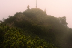 LN01-4.-September-2024
